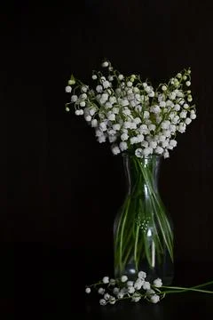 Composition of lily of the valley. Spring concept. A gift to a woman. Stock Photos