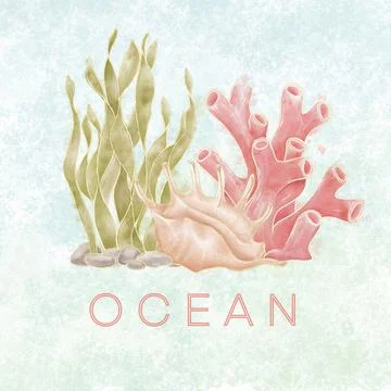 Composition logo on a marine theme with illustrations of shells, corals and a Stock Illustration