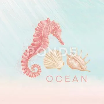 Composition, logo on the sea theme, seahorse, beige shells on the background PSD Template