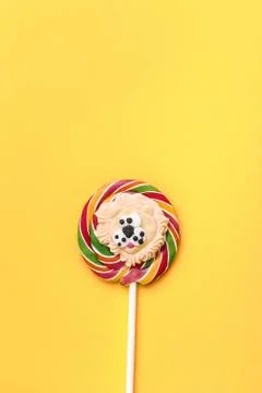 Composition of lollipops, candy pattern, top view flat lay Stock Photos