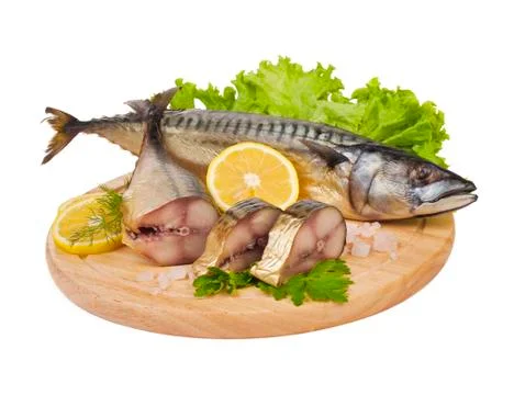 A composition with mackerel fish Stock Photos