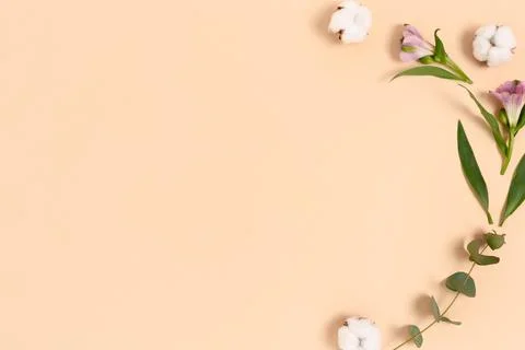 Composition made of green leaves, eucalyptus, cotton, alstroemeria flowers. Stock Photos