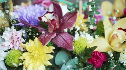 Composition of many beautiful flowers Stock Footage 151464329