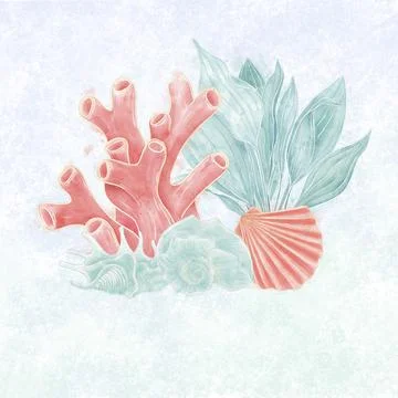A composition on a marine theme, corals and algae with shells, red and blue o Stock Illustration