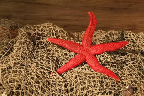 The composition on the marine theme Stock Photos