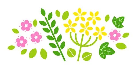 Composition of medicinal herbs. Flat vector isolated on white. Stock Illustration