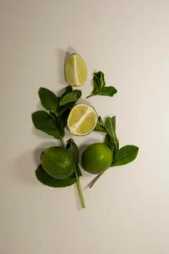 Composition of mint leaves and lime fruit. Green detox. Health care. Top view Stock Photos