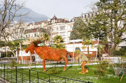 The composition of the moose on the lawn. Foto stock