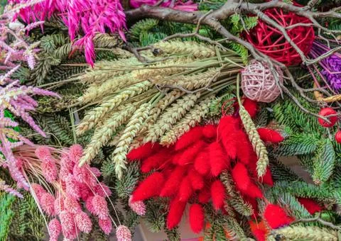 Composition with multi-colored spikelets, plants and berries. Stock Photos