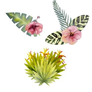 Composition of multicolored tropical leaves. For invitations, greeting cards  Stock-Illustration