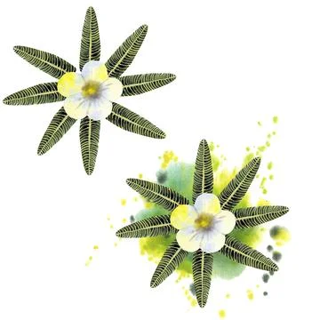 Composition of multicolored tropical leaves. For invitations, greeting cards  Stock-Illustration