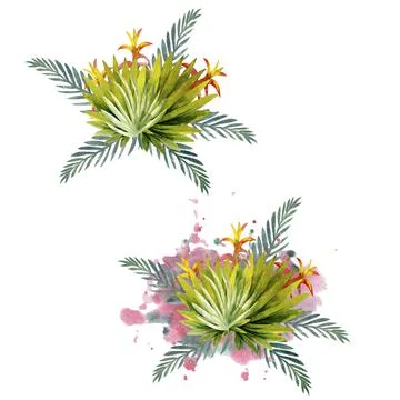 Composition of multicolored tropical leaves. For invitations, greeting cards  Stock-Illustration