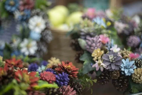 Composition of natural elements. Natural texture of beautiful flowers. Cone.. Stock Photos