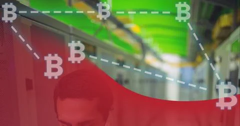 Composition of network of bitcoin symbols over computer servers background 写真素材
