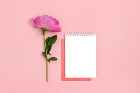 Composition with notepad mockup and peony flower. Stock Photos