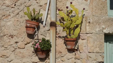 Composition of objects in stone wall of old house Stock Footage 152237472
