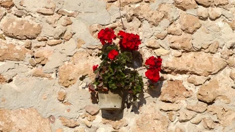 Composition of objects in stone wall of old house Stock Footage 152237530