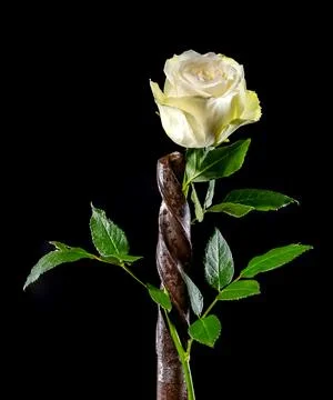 Composition with old rusty drill bit and white rose Foto stock