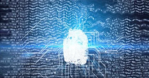 Composition of online security padlock with binary coding and computer circuit Stock Illustration