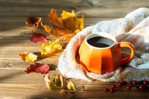Composition with orange pumpkin styled cup of coffee and autumn themed decora Stock Photos