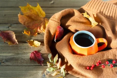 Composition with orange pumpkin styled cup of coffee and autumn themed decora Stock Photos