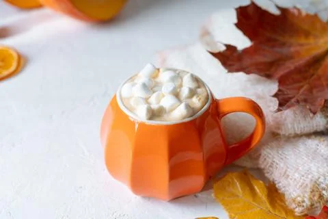 Composition with orange pumpkin styled cup of coffee with marshmallows and au Stock Photos