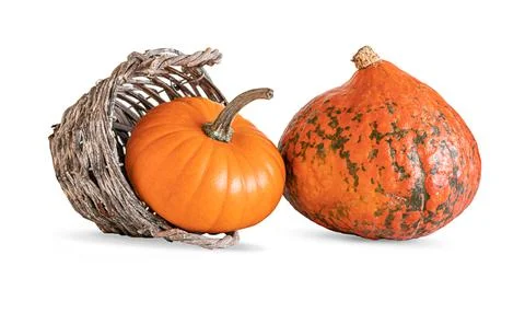 Composition with orange pumpkins isolated on white background. Foto stock