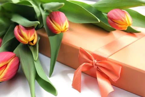 Composition of orange yellow tulips Stock Photos