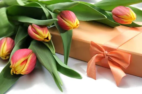 Composition of orange yellow tulips Stock Photos