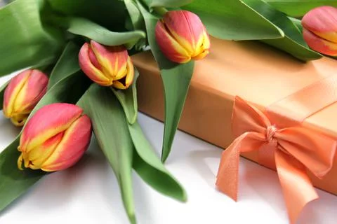 Composition of orange yellow tulips Stock Photos