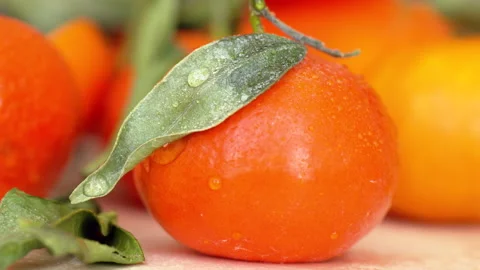 Composition with oranges, mango, rosehip and green leaves, macro close up with Stock Footage 166132304
