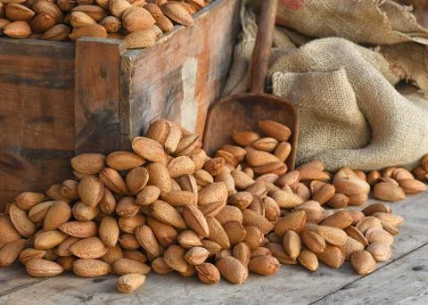 Composition of organic almonds Stock Photos