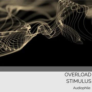Composition of overload stimulus audiophile text over waves on black background Stock Illustration