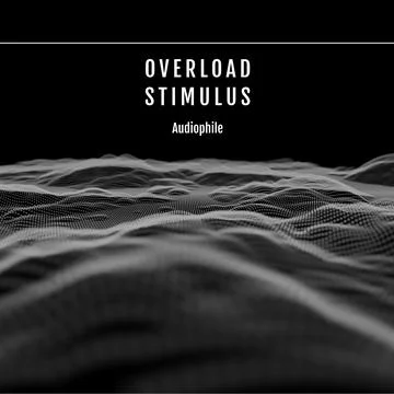 Composition of overload stimulus audiophile text over waves on black background Stock Illustration