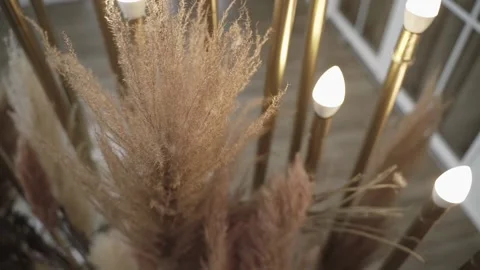 Composition with pampas grass and candles. Stock Footage 170412628