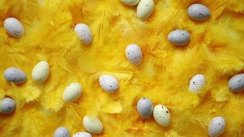 Composition of pastel easter eggs lie among of yellow feathers for holidays Vídeos de archivo 151119035