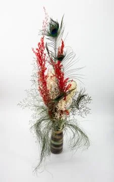 Composition with peacock feather in  pot Stock-Fotos