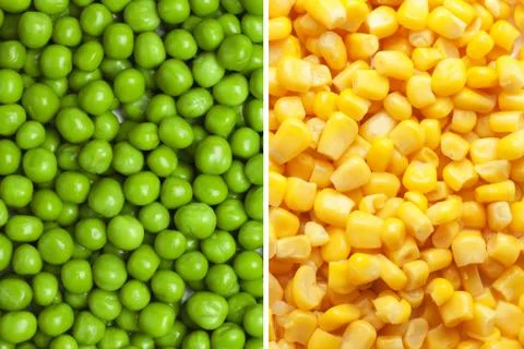 Composition of peas and corn Stock Photos