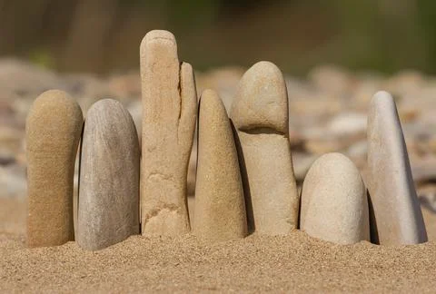 Composition of pebbles close-up in soft evening lighting. Stock Photos