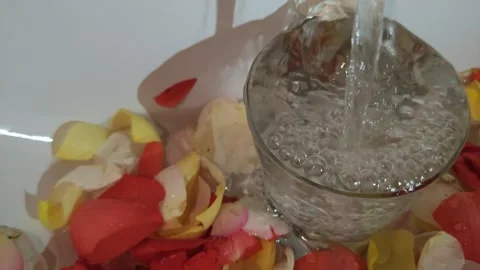 Composition of petals in water decor Stock-Footage 318850883