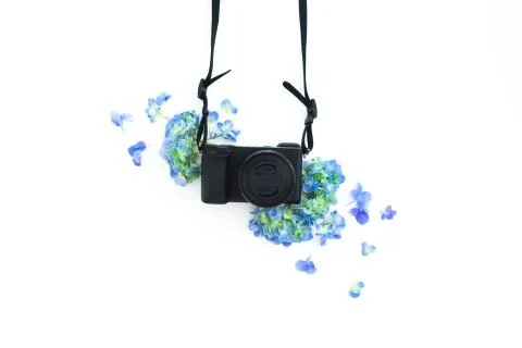 Composition with photo camera and hydrangea flowers on white background. Flat Stock Photos