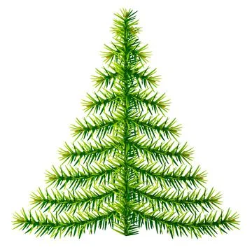 Composition of pine branches in shape of christmas tree Stock Illustration