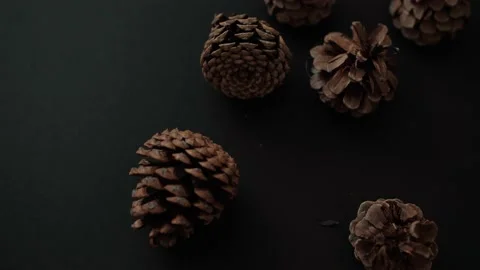Composition Of Pine Cones Stock Footage 169870828