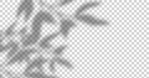 Composition of plant shadows moving over checked transparent background Ilustração Stock