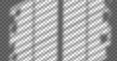 Composition of plant shadows moving over checked transparent background Ilustração Stock