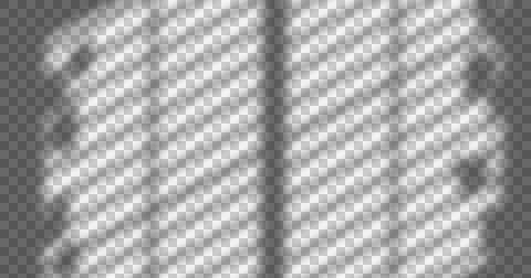 Composition of plant shadows moving over checked transparent background Ilustração Stock
