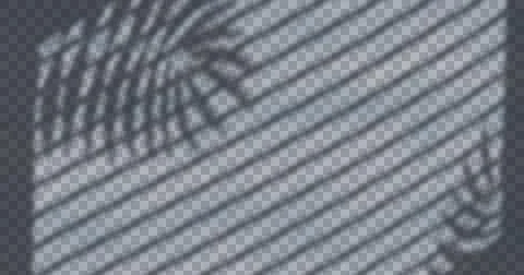 Composition of plant shadows moving over checked transparent background Ilustração Stock