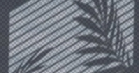 Composition of plant shadows moving over checked transparent background Ilustração Stock