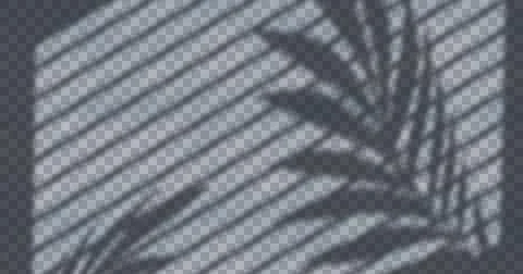 Composition of plant shadows moving over checked transparent background Ilustração Stock