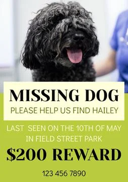 Composition of poster with missing dog text over dog on green background Fotos de archivo